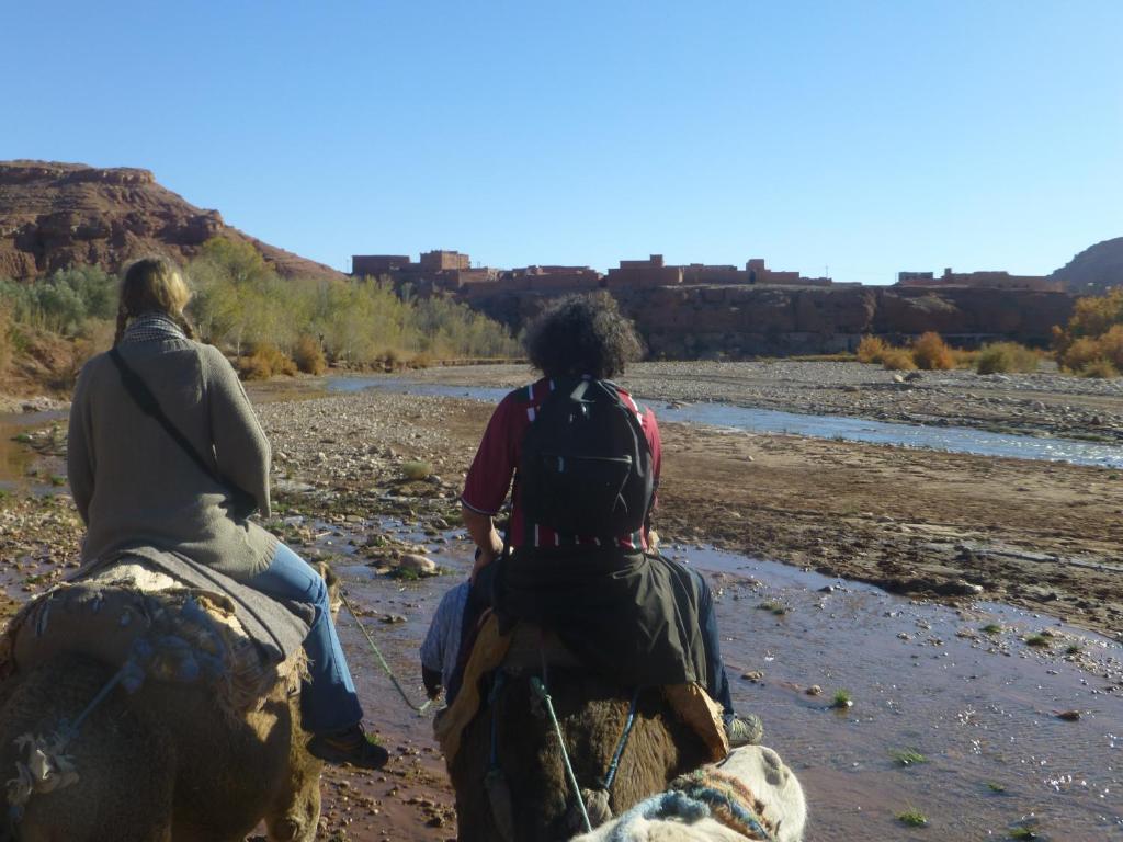 Kasbah La Cigogne Bed and Breakfast Αΐτ-Μπεν-Χαντού Εξωτερικό φωτογραφία